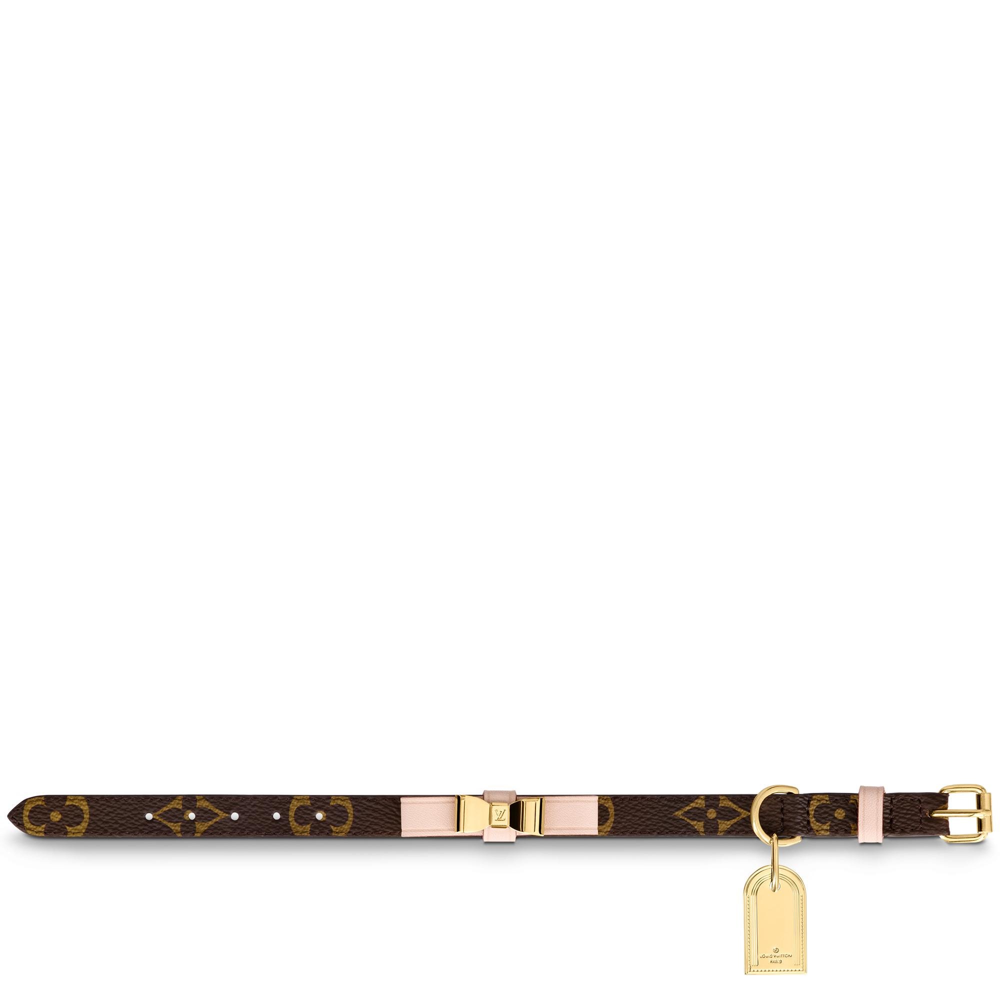 vuitton dog collar
