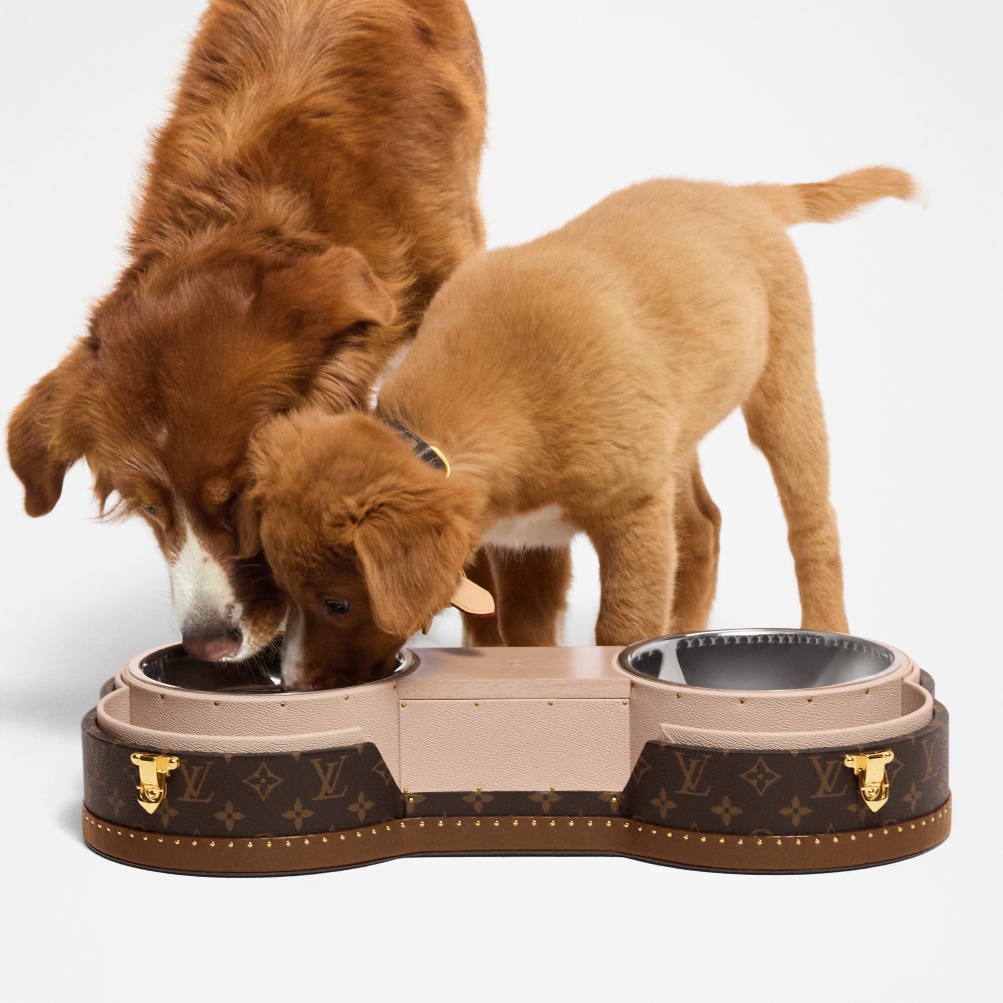 Animal Carrier Louis Vuitton Pet Carrier Louis Vuitton **LIMITED