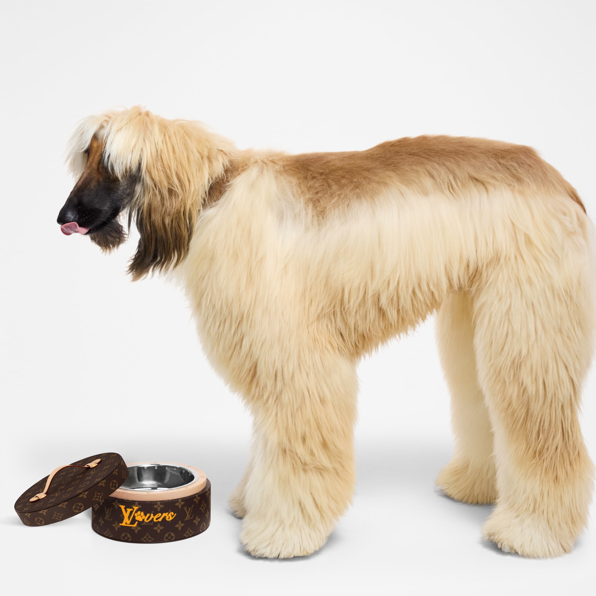 Trunks, Travel and Home - Dog Bowl  Trunks, Travel and Home Pets Accessories } | LOUIS VUITTON (Product zoom)