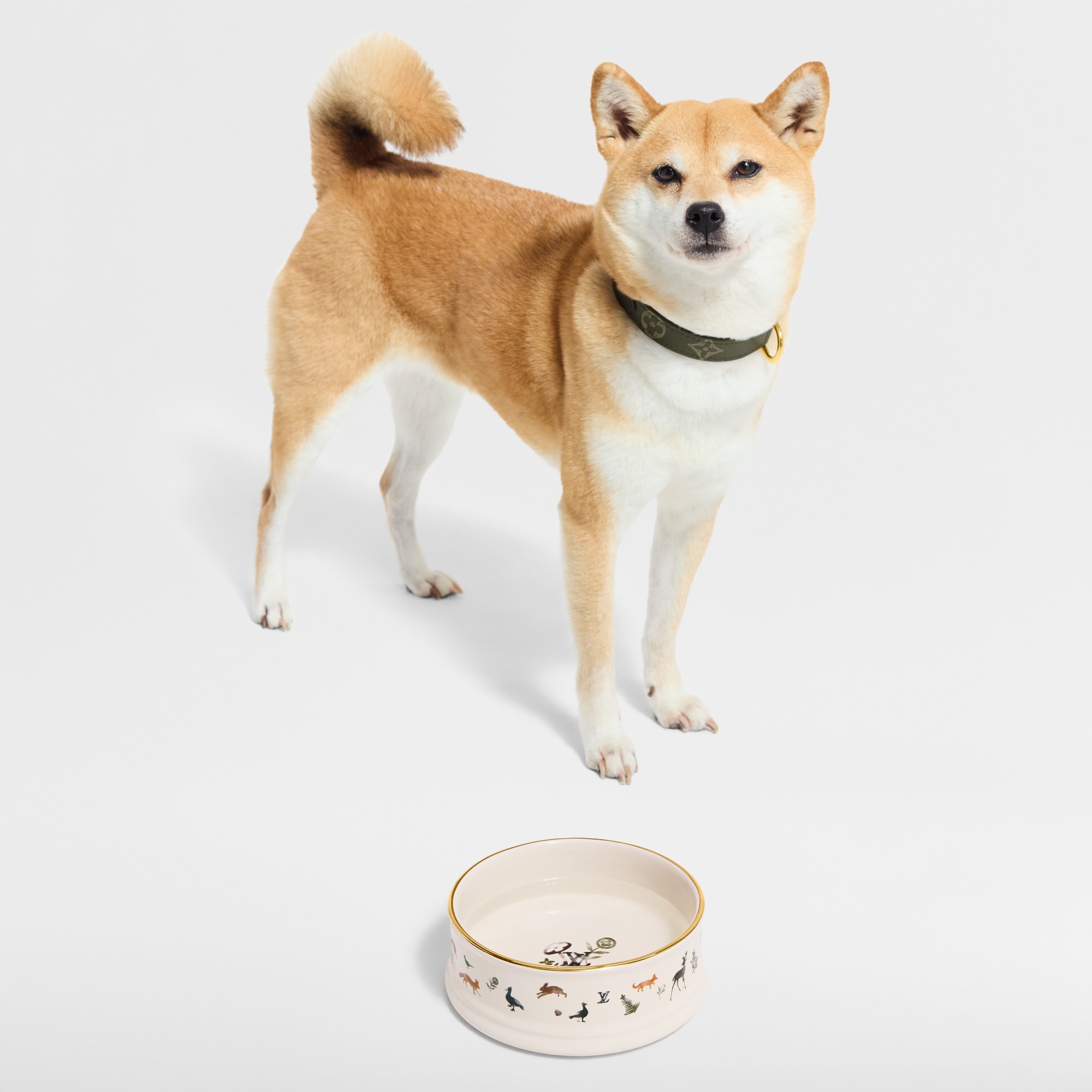Trunks, Travel and Home - Dog Bowl S00 Trunks, Travel and Home Pets Accessories } | LOUIS VUITTON (Product zoom)