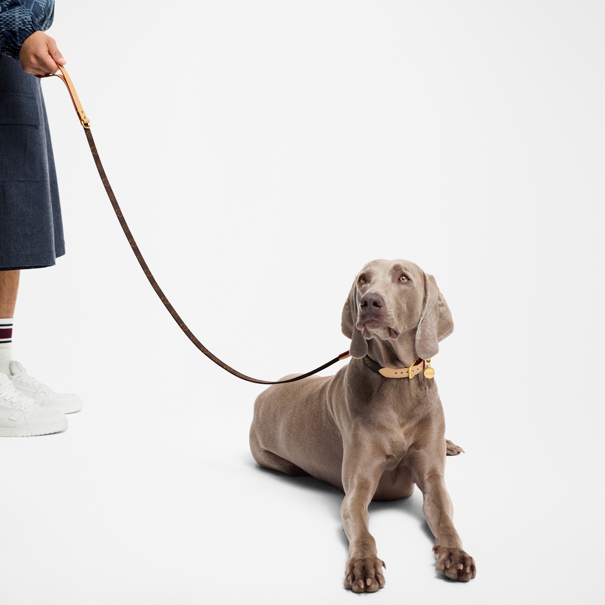 Trunks, Travel and Home - Dog Lead MM  Trunks, Travel and Home Pets Accessories } | LOUIS VUITTON (Product zoom)