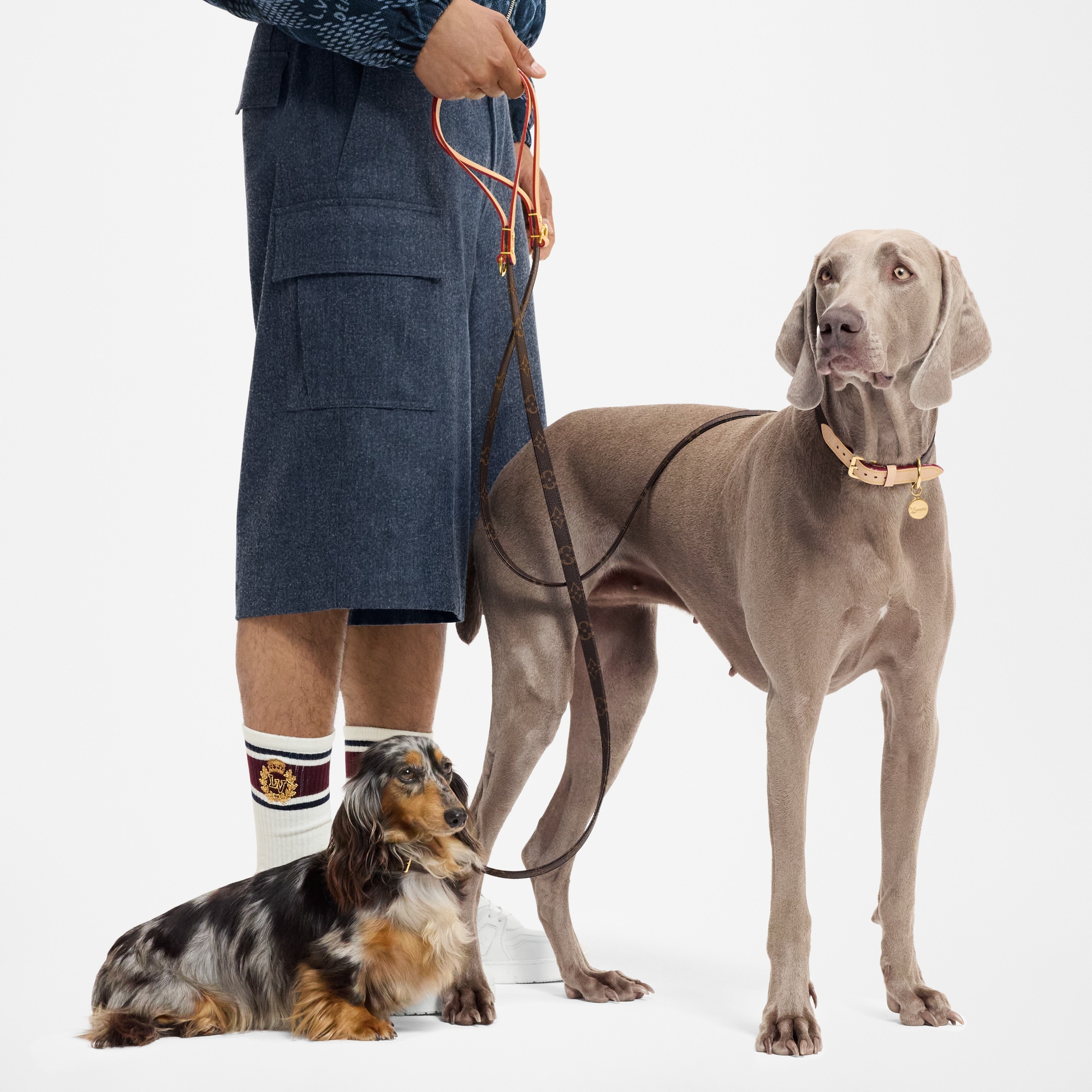 Trunks, Travel and Home - Dog Lead PM  Trunks, Travel and Home Pets Accessories } | LOUIS VUITTON (Product zoom)