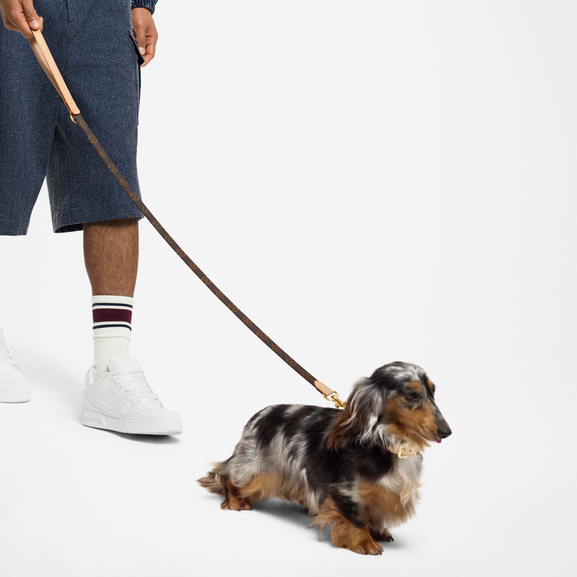 Trunks, Travel and Home - Dog Lead PM  Trunks, Travel and Home Pets Accessories } | LOUIS VUITTON (Product zoom)