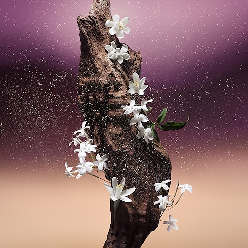 Perfumes and Beauty - Fleur Du Desert Perfumes and Beauty Collections Men’s Perfumes | LOUIS VUITTON (Product zoom)