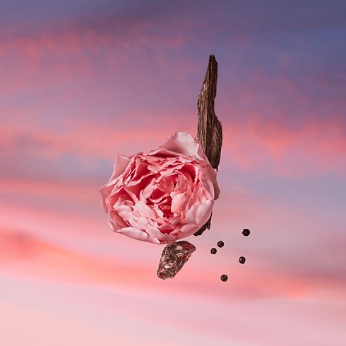 Women - Les Sables Roses Perfume Women Fall-Winter 2026 collection } | LOUIS VUITTON (Product zoom)