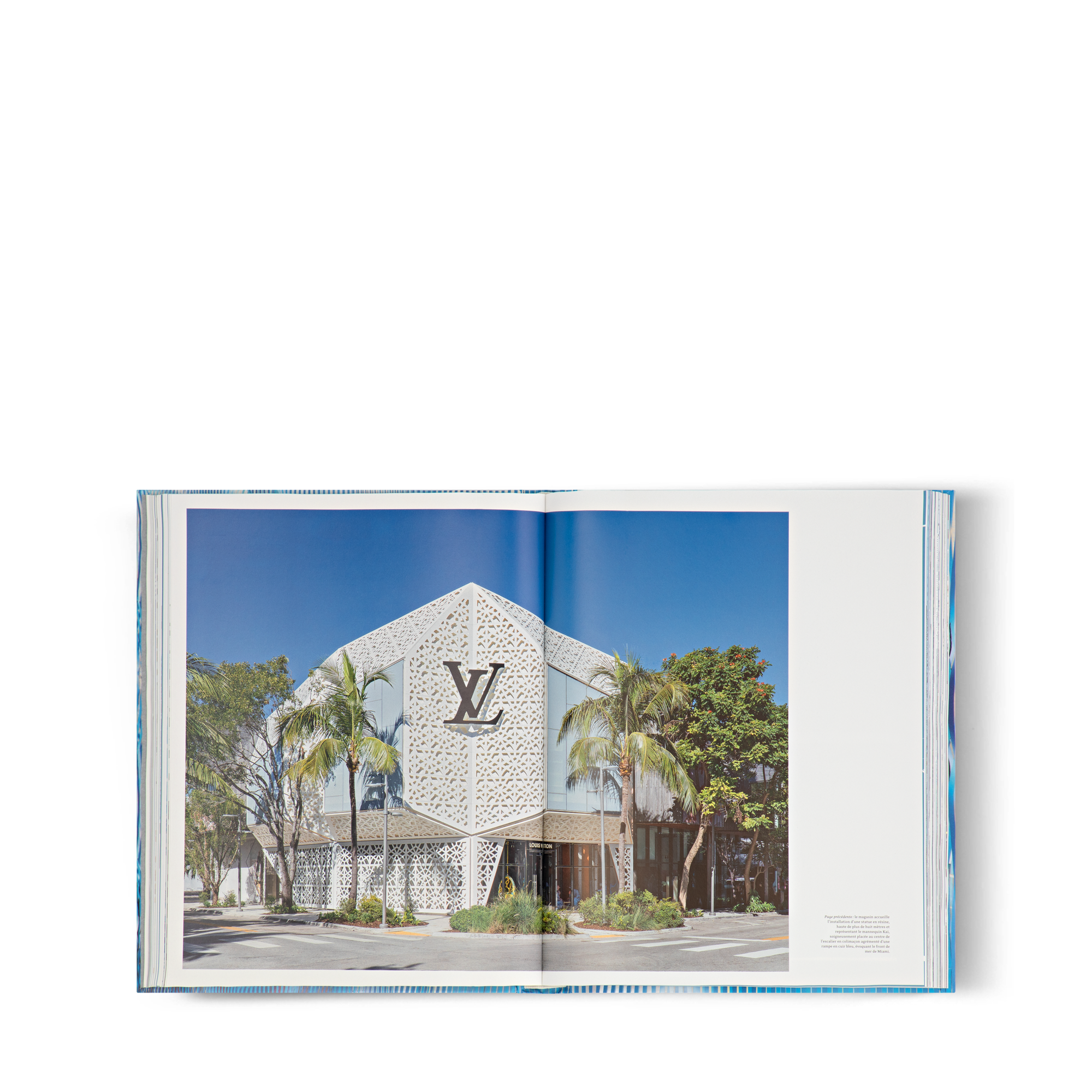Trunks, Travel and Home - Louis Vuitton Skin: Architecture Of Luxury  Trunks, Travel and Home Library Hard Cover Books | LOUIS VUITTON (Product zoom)