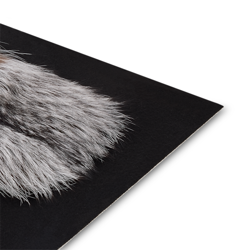 Women - LV Neo Foxy Cape S00 Women New In Women } | LOUIS VUITTON (Product zoom)