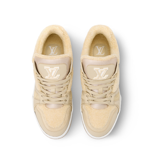 LV Trainer interior view