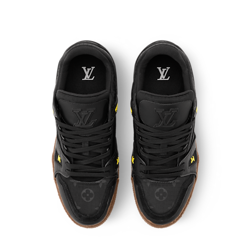 LV Trainer interior view