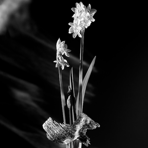 Perfumes and Beauty - Matière Noire Perfumes and Beauty Collections Women’s Perfumes | LOUIS VUITTON (Product zoom)