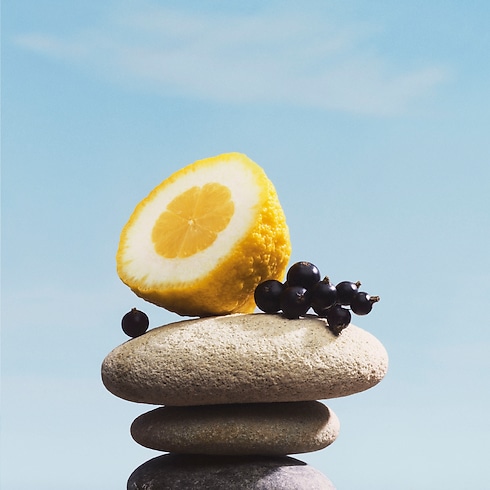 Perfumes and Beauty - Pacific Chill Perfumes and Beauty All Perfumes } | LOUIS VUITTON (Product zoom)