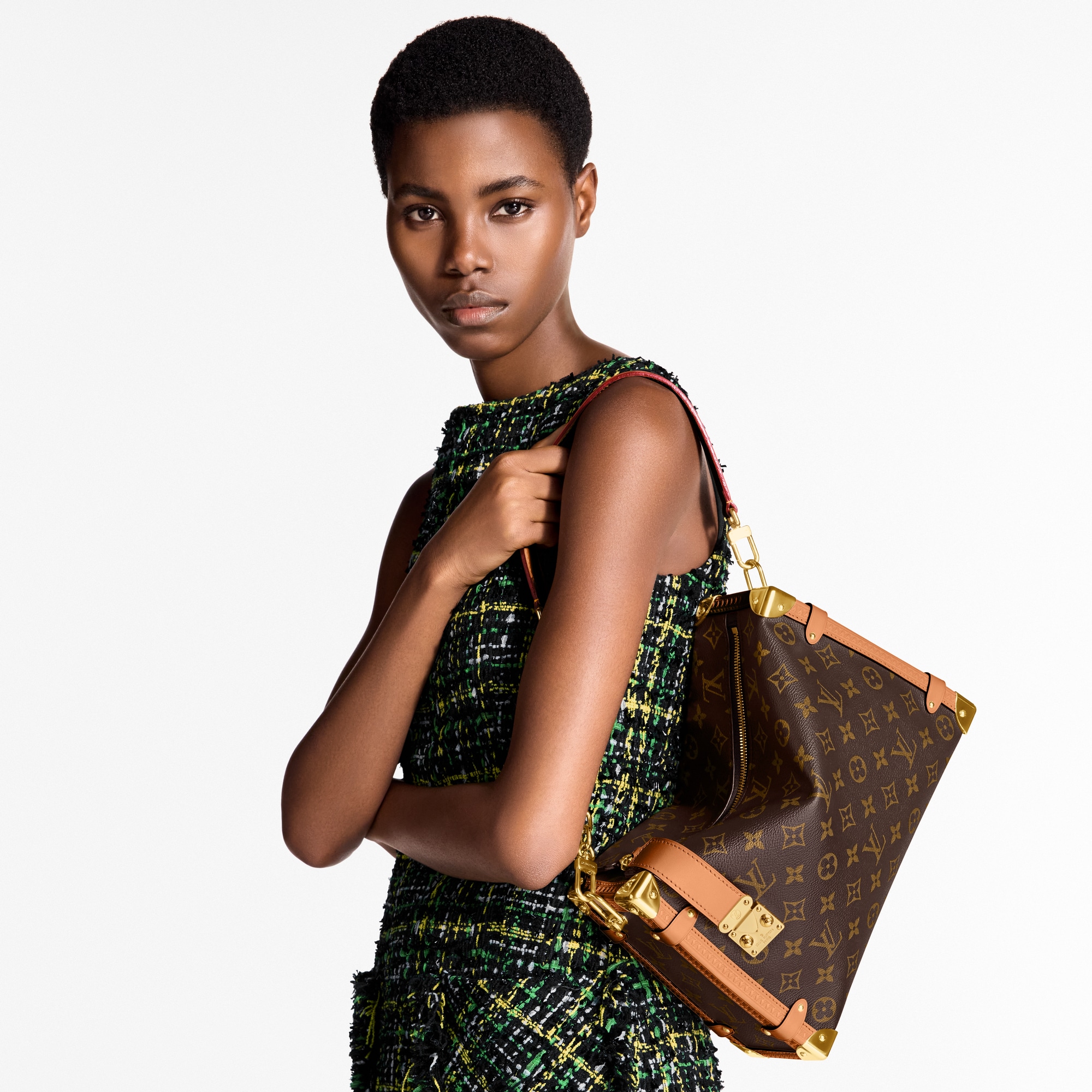 Bags and Small Leather Goods - Side Trunk GM Bag Monogram Canvas Bags and Small Leather Goods Women