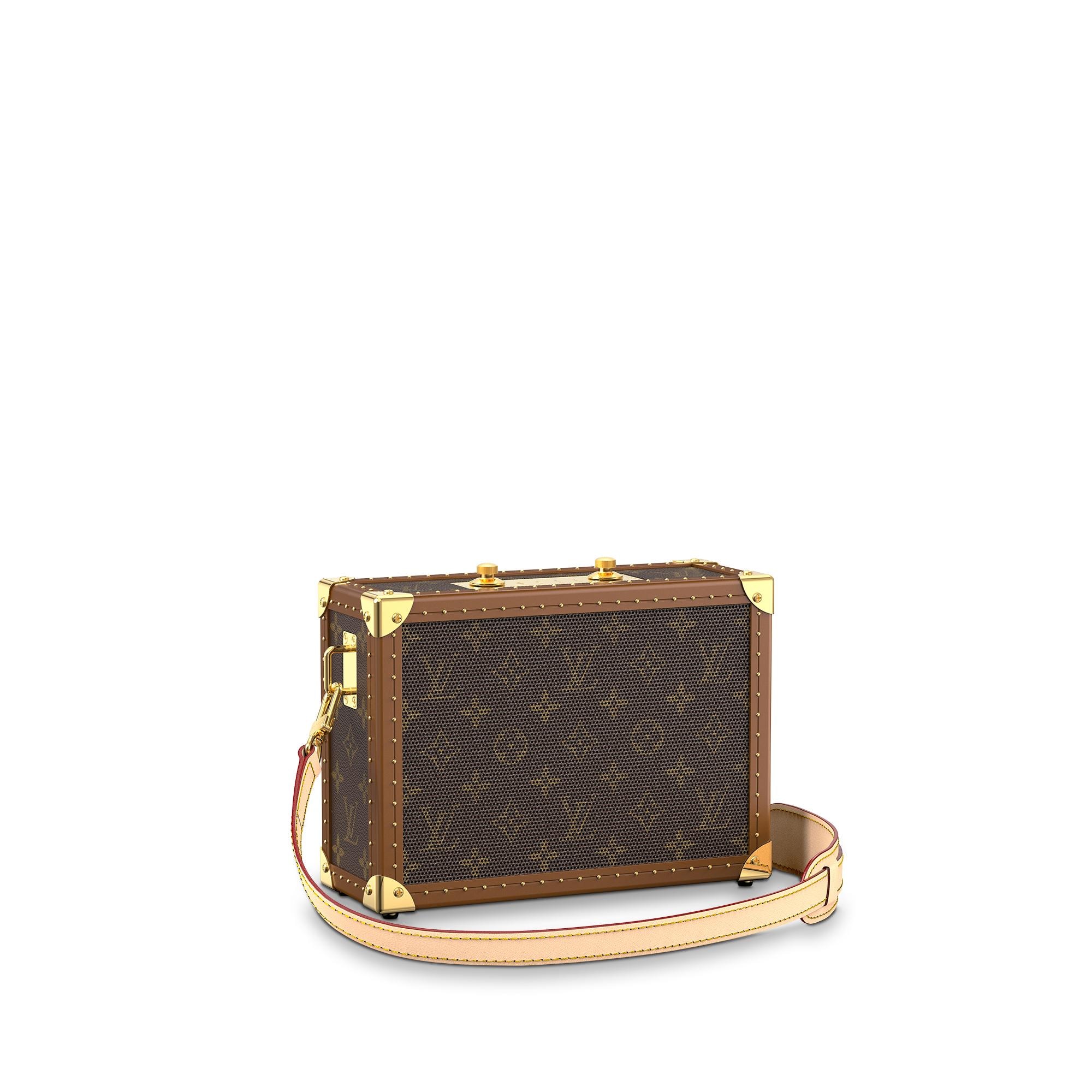 louis vuitton bags 2010