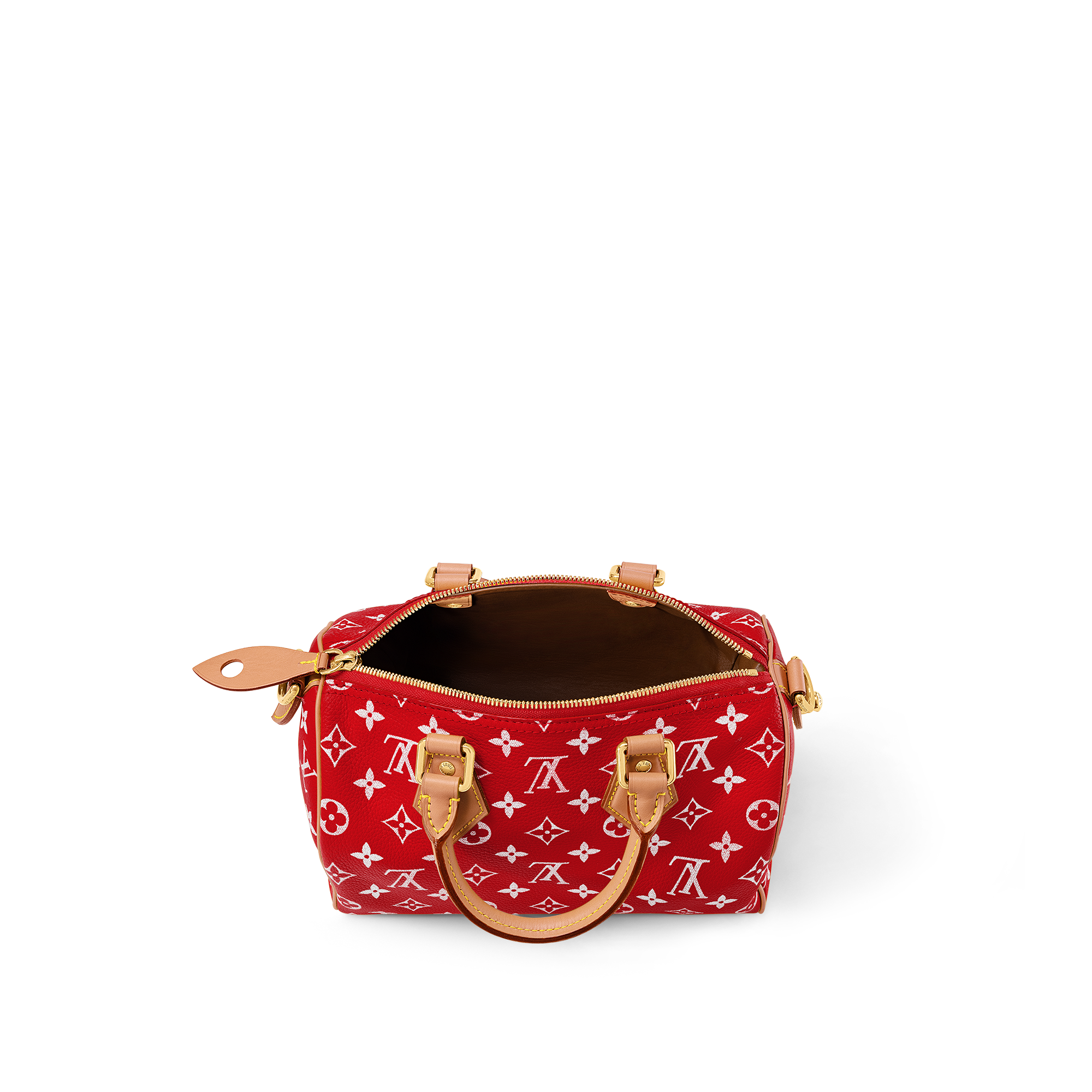 Les Extraordinaires - Speedy P9 Bandoulière 25 Bag H40 Les Extraordinaires Leather Goods and Travel Speedy P9 | LOUIS VUITTON (Product zoom)