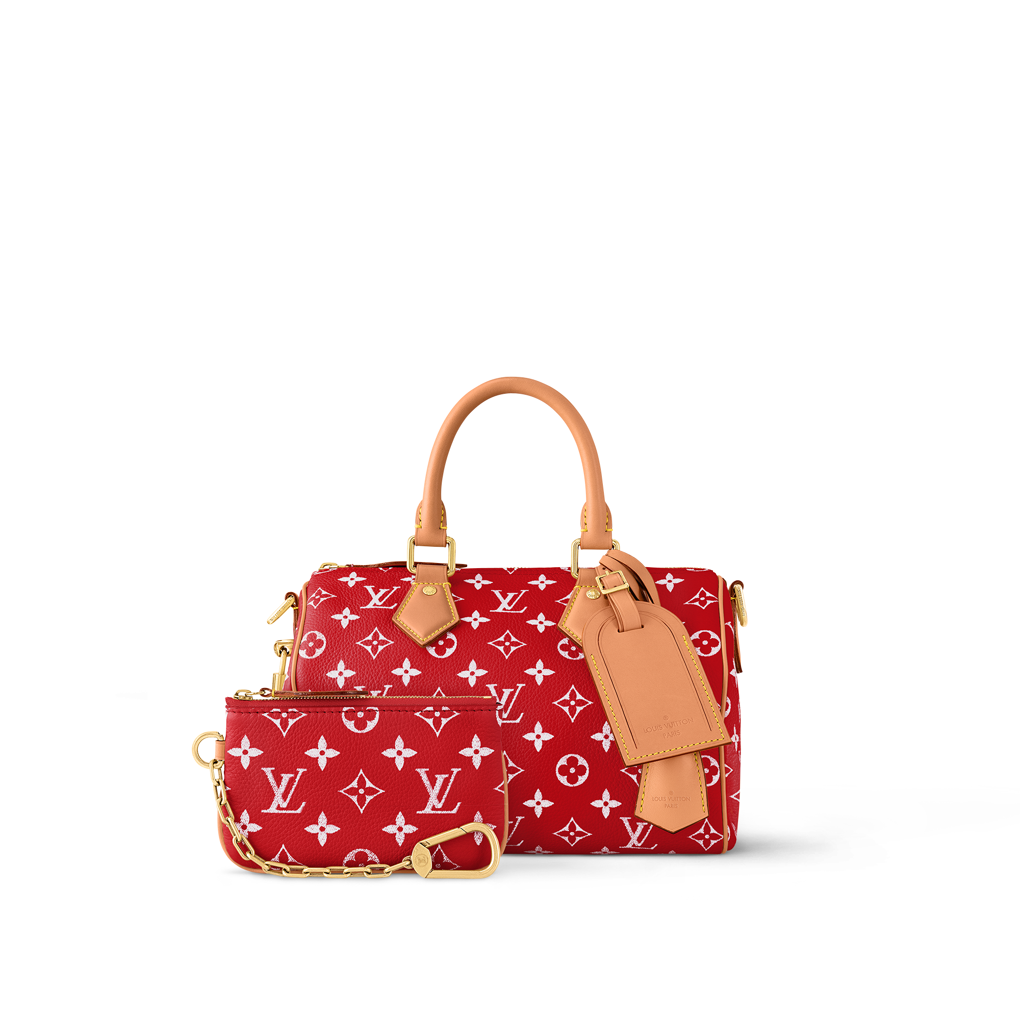 Les Extraordinaires - Speedy P9 Bandoulière 25 Bag H40 Les Extraordinaires Leather Goods and Travel Speedy P9 | LOUIS VUITTON (Product zoom)
